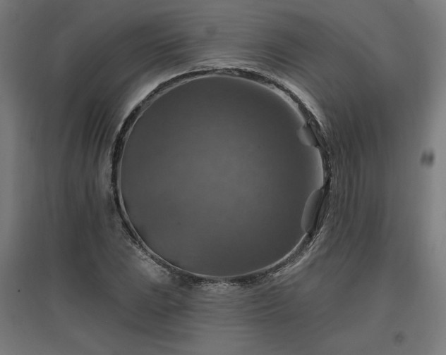 X0000096971023200802151304