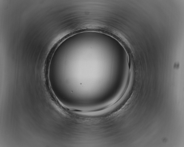 X0000096971026200802151304