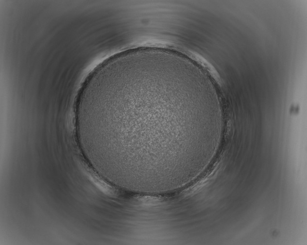 X0000096971027200802151304