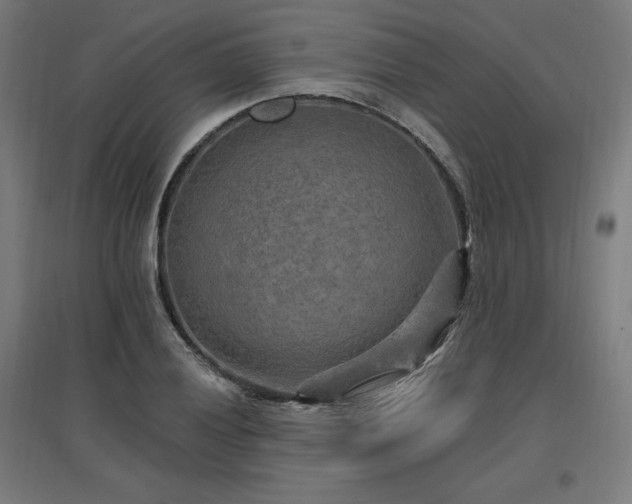 X0000096971028200802151304