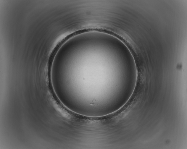 X0000096971030200802151304