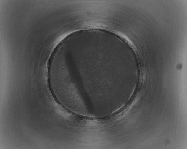 X0000096971031200802151304