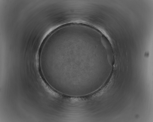 X0000096971032200802151304