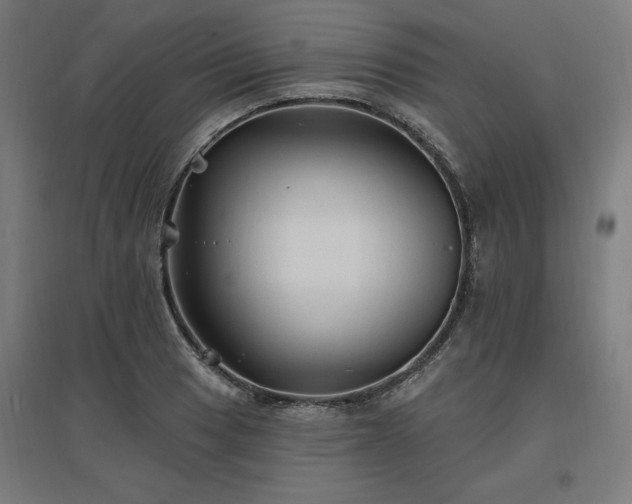 X0000096971033200802151304