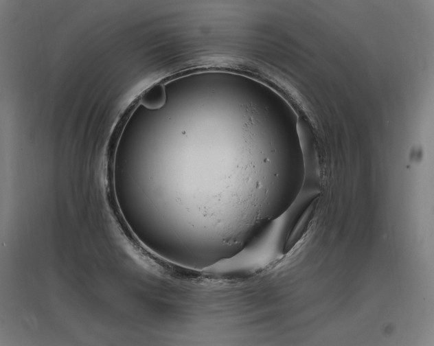 X0000096971034200802151304