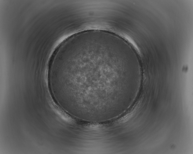 X0000096971035200802151304
