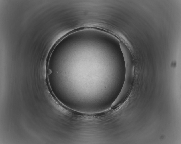 X0000096971036200802151304