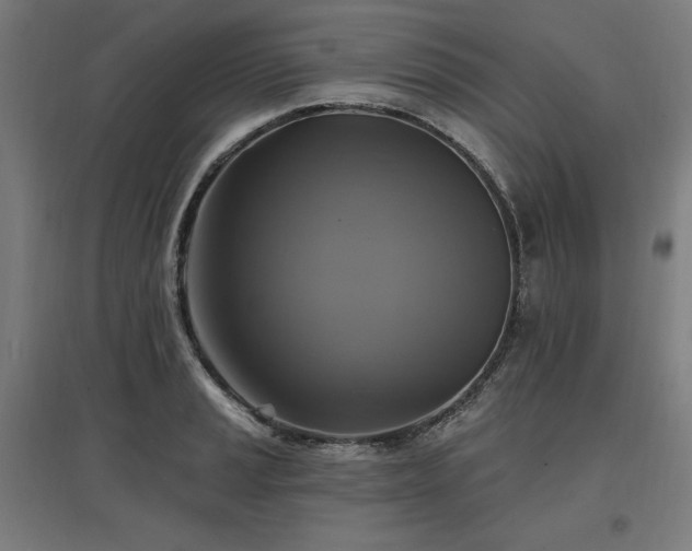 X0000096971037200802151304