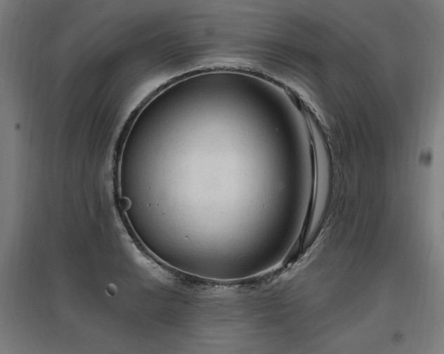 X0000096971038200802151304