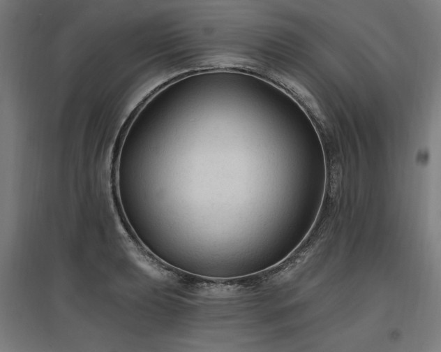 X0000096971039200802151304