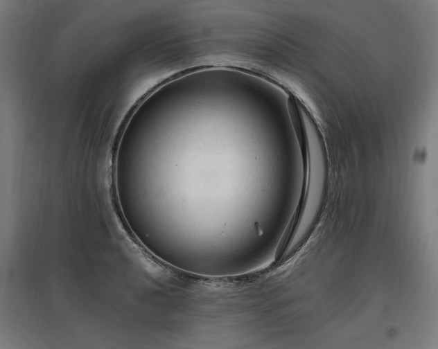 X0000096971040200802151304