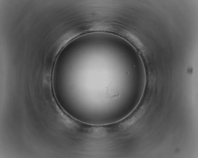 X0000096971041200802151304