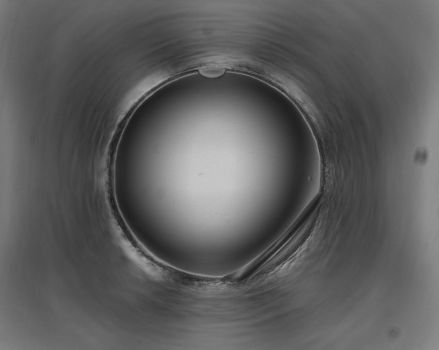X0000096971042200802151304