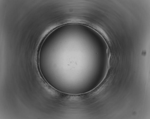X0000096971043200802151304