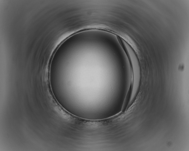 X0000096971044200802151304