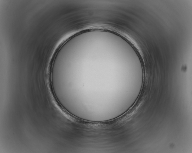 X0000096971045200802151304