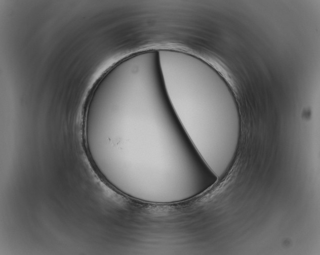 X0000096971046200802151304