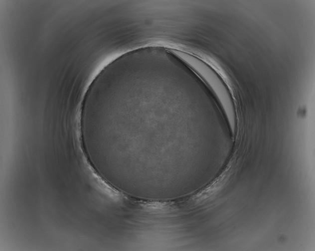 X0000096971048200802151304