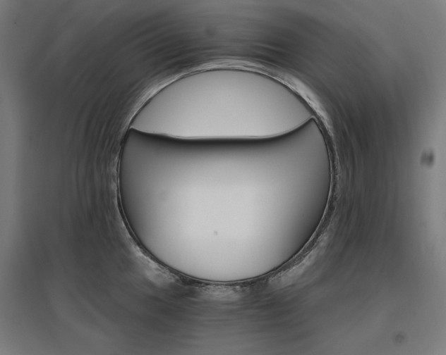 X0000096971049200802151304