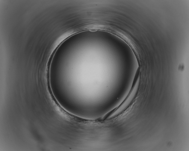 X0000096971050200802151304