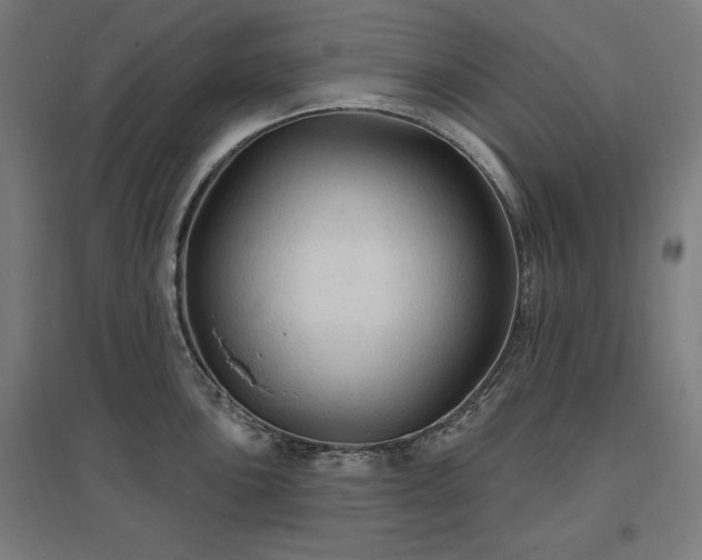 X0000096971051200802151304