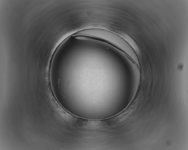 X0000096971052200802151304