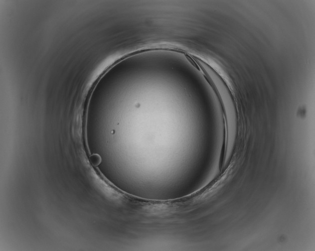 X0000096971054200802151304