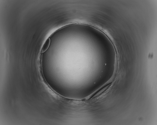 X0000096971056200802151304