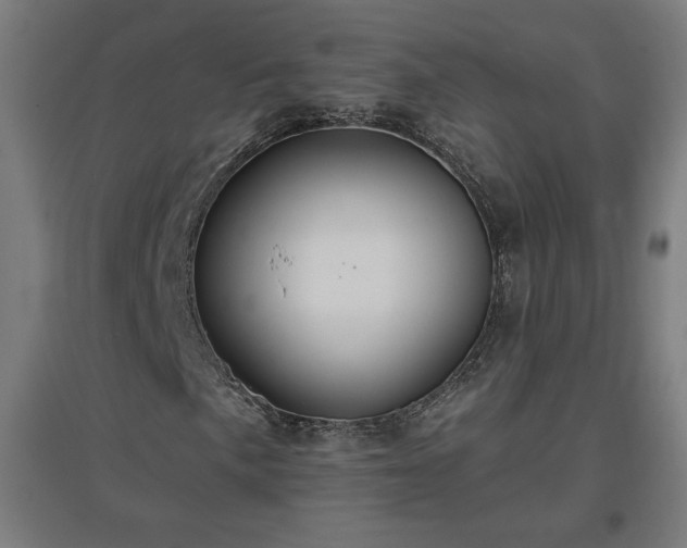 X0000096971057200802151303