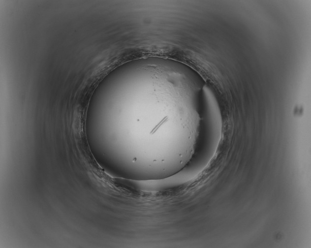 X0000096971058200802151303