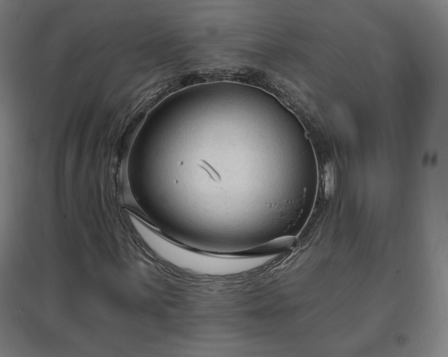 X0000096971059200802151303