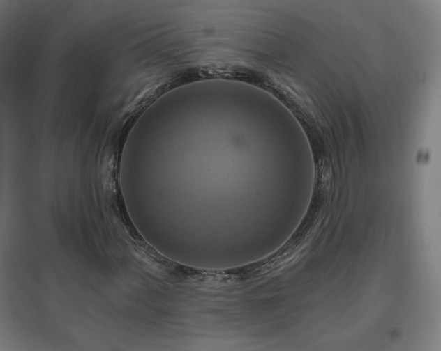 X0000096971060200802151303