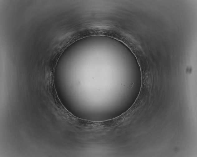 X0000096971061200802151303
