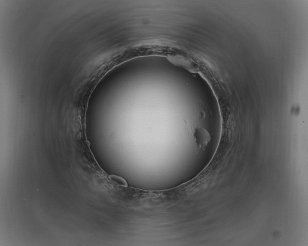 X0000096971062200802151303