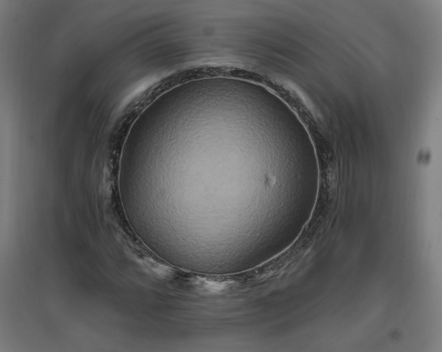 X0000096971064200802151303