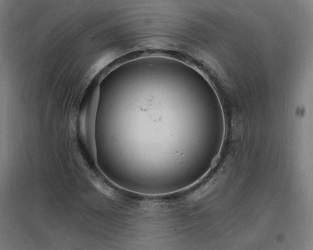 X0000096971065200802151303