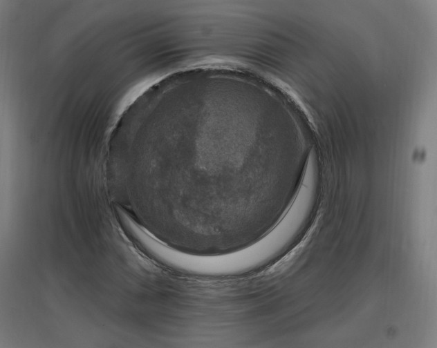 X0000096971066200802151303