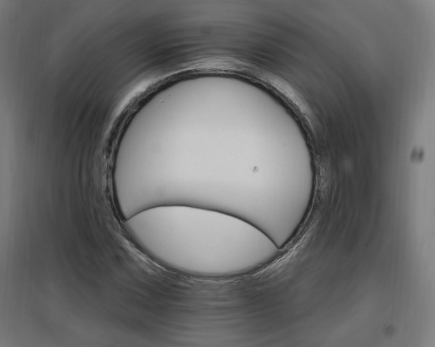 X0000096971067200802151303