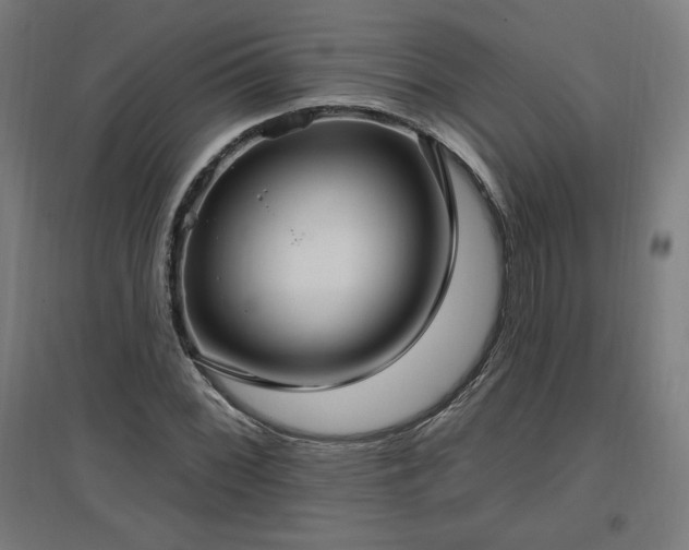 X0000096971068200802151303