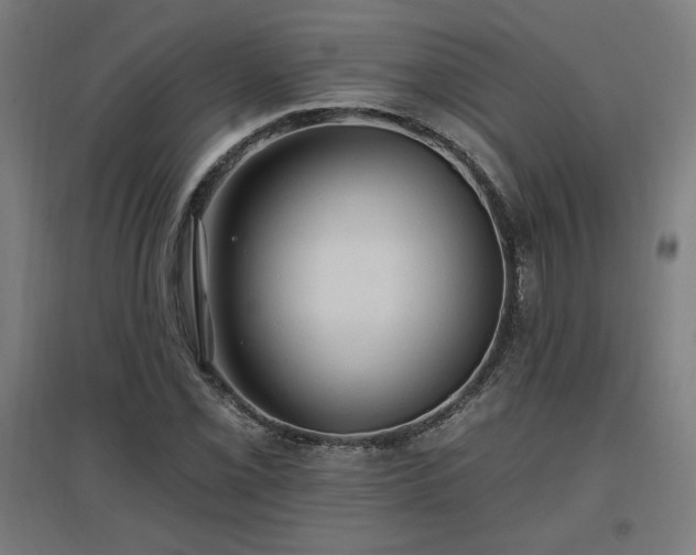 X0000096971069200802151303