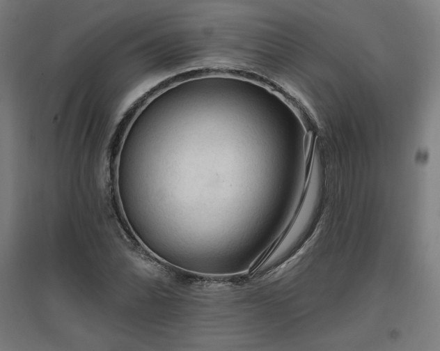 X0000096971070200802151303