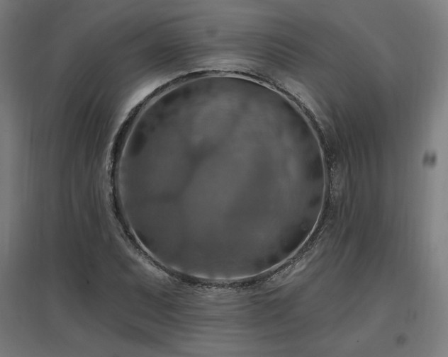 X0000096971071200802151303