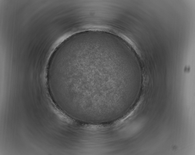 X0000096971074200802151303