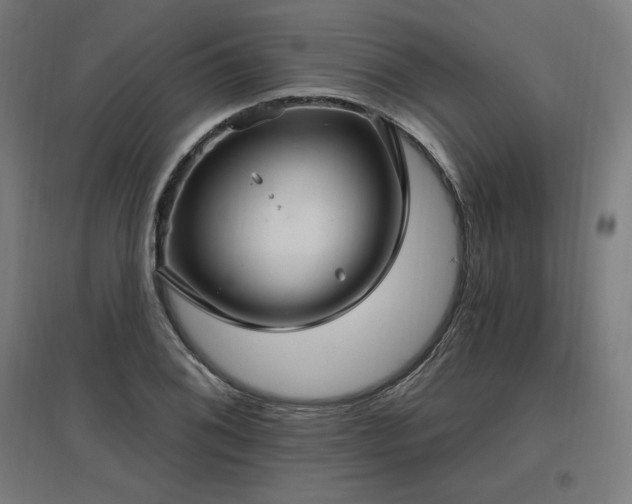X0000096971076200802151303