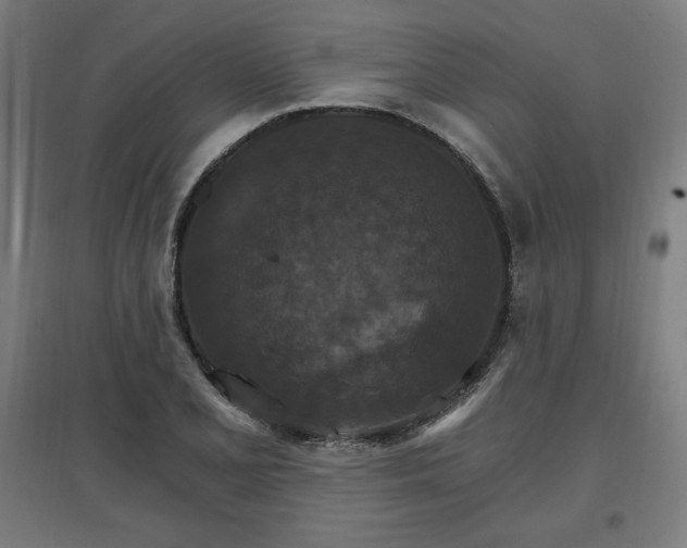 X0000096971077200802151303