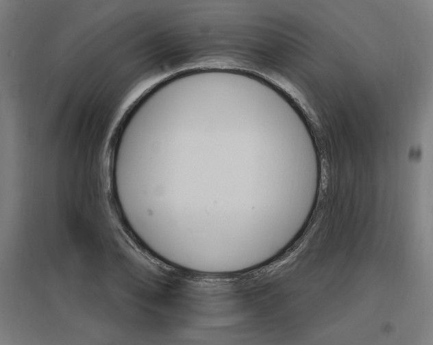 X0000096971078200802151303