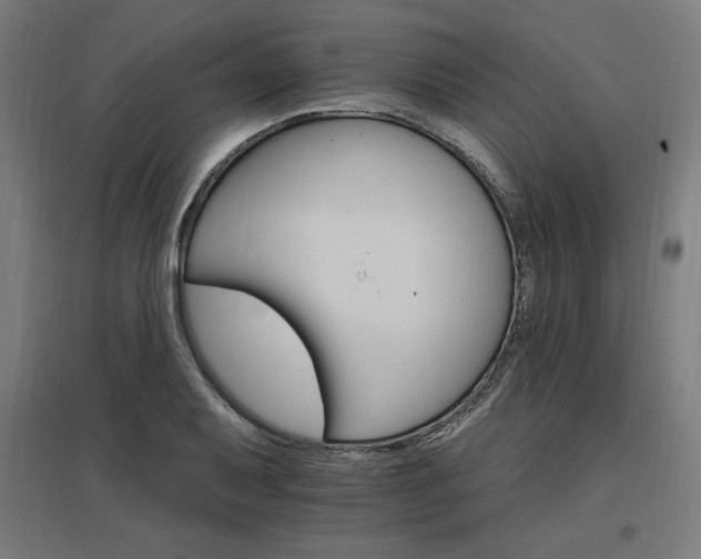 X0000096971079200802151303
