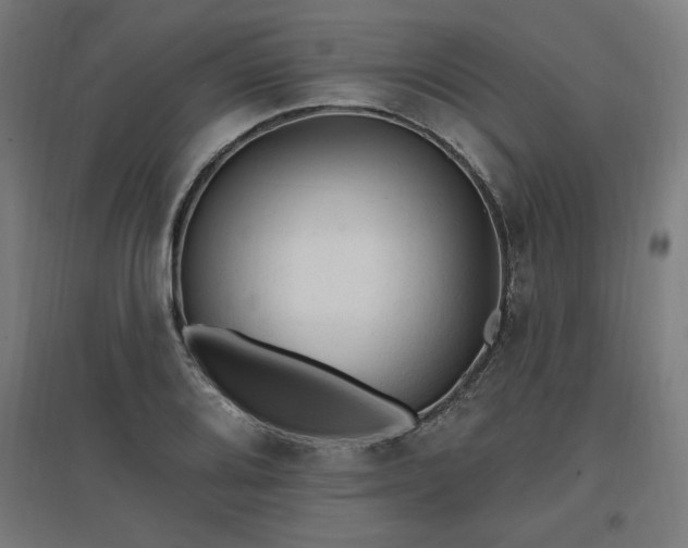 X0000096971080200802151303