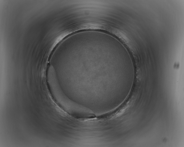 X0000096971081200802151303