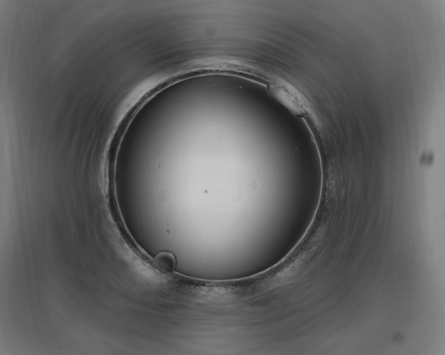X0000096971082200802151303